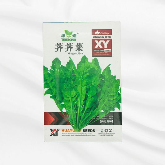 Xingyun Jicai Seed – Premium Leafy Mustard Green Variety - Bonoya