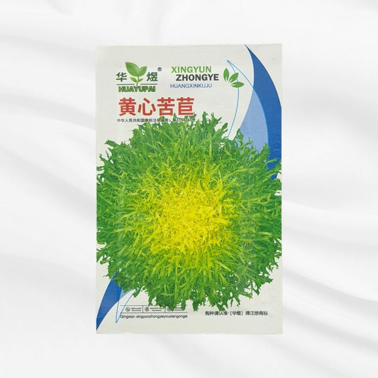 Xingyun Yellow Heart Frisée Chicory Seed – Premium Fine Leaf Variety - Bonoya