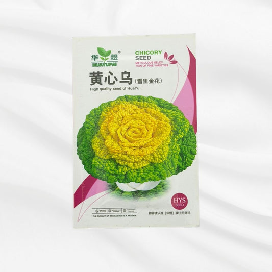 Yellow Heart Chicory Seed – Premium Ornamental Leaf Variety - Bonoya